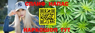 мдпв Донской